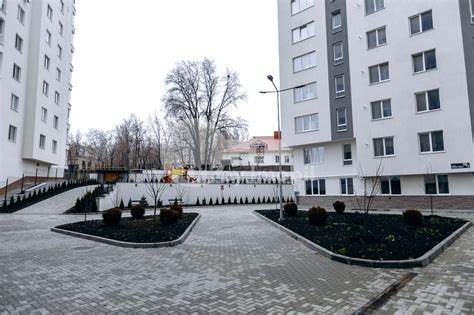 strada tudor strișcă